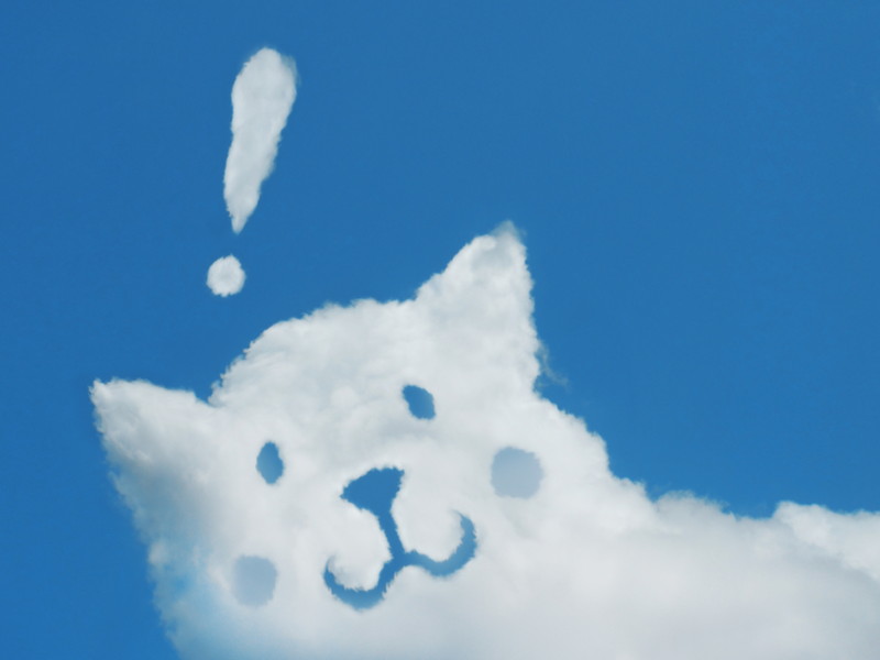 犬形をした雲の写真