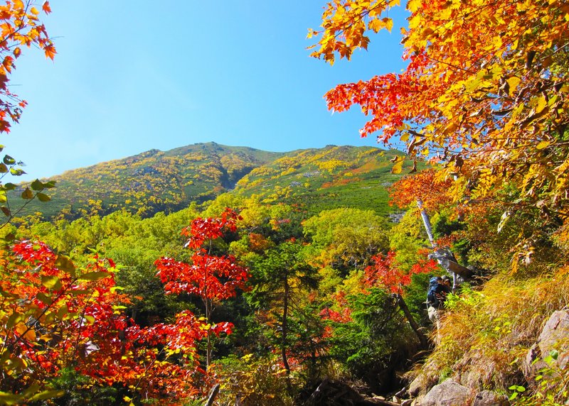 秋山の木々の写真